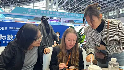 Exposición Internacional de Economía Digital de China 2025